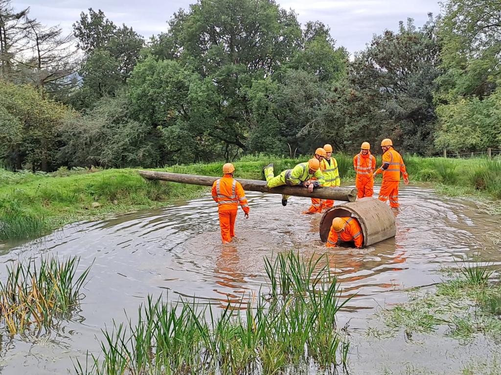 Learning across functions and operating companies