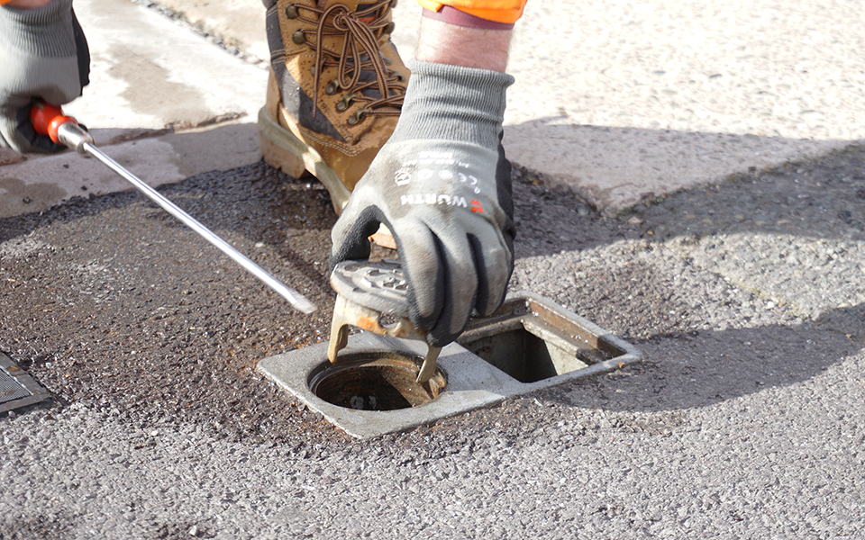 Pedestrian Plug 960 X 600 2